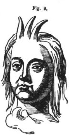 Picture of Three-horned Head of Togrul Begh